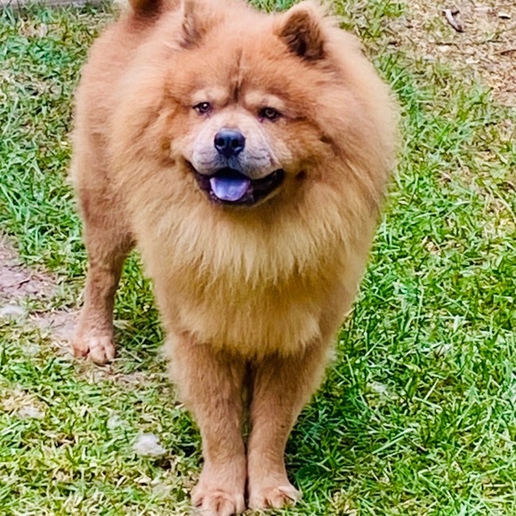 Meet your Posher, Leticia - Picture 2 of 5